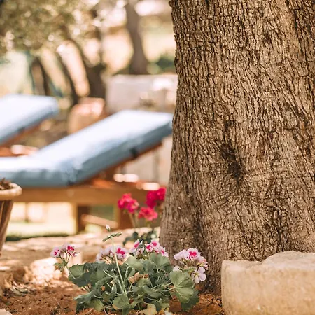 Maroulas Natura Palace Willa Giannoudi (Crete)