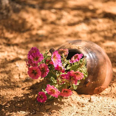 Maroulas Natura Palace * Giannoudi (Crete)