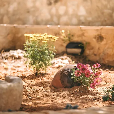 Maroulas Natura Palace Giannoudi (Crete)